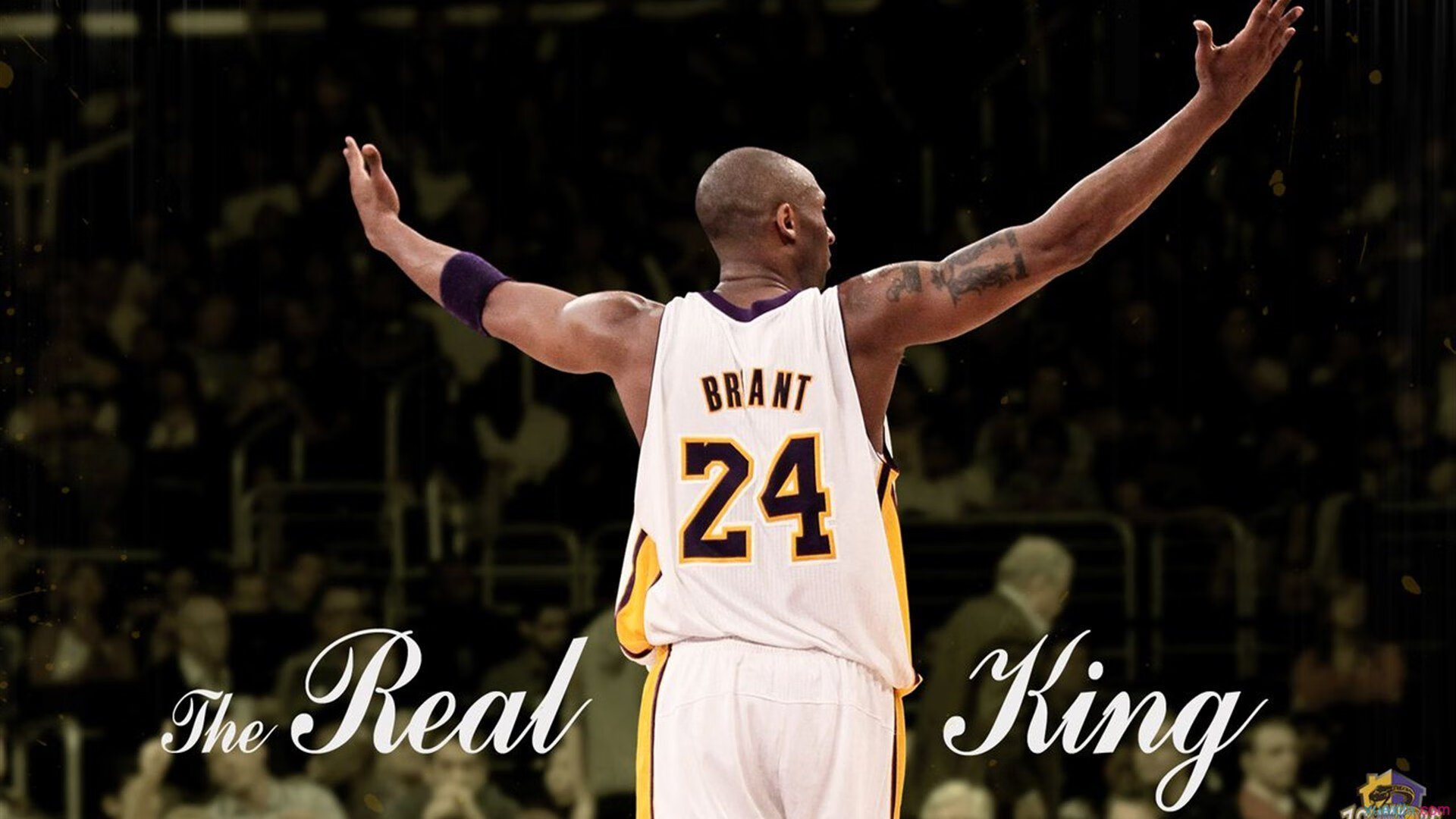 体育场馆智能安全系统，体育场馆智慧化