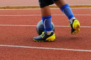 开云全站-篮球运动员心理健康支持体系构建，篮球运动员心理健康支持体系构建方案